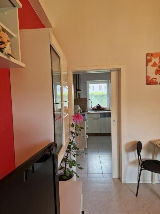 Ferienwohnung Bayernbrise روهردورف المظهر الخارجي الصورة